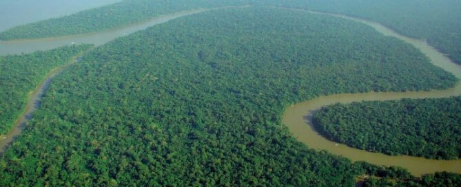 Not For Sale reforestation project in the Amazon rainforest supporting indigenous communities and carbon-offset programs.