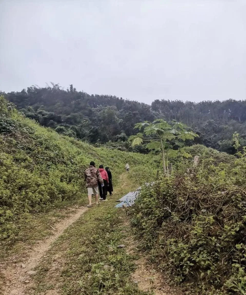 Blue Dragon rescue and reintegration, Vietnam