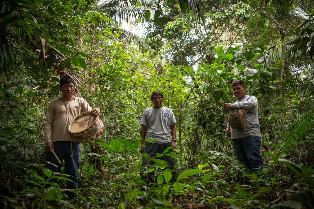 Amazon rainforest, Madre de Dios