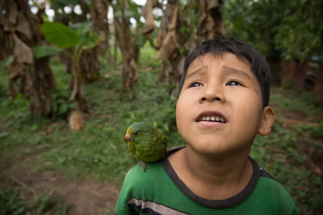 A child in the Peruvian Amazon